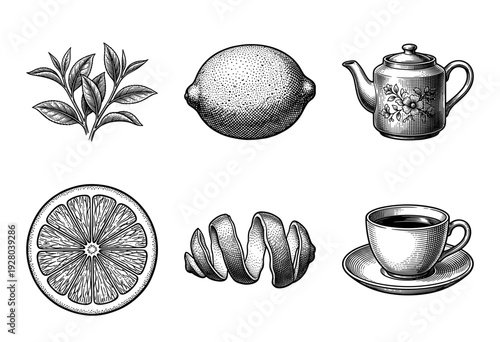 Vintage engraving style collection of tea and citrus elements featuring lemon slices peel teapot and cup