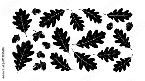Collection of oak leaves and acorns, graphic illustration, perfect for autumn or nature-themed designs