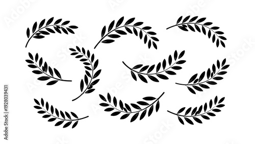 A collection of black stylized botanical illustrations of laurel branches with many leaves, scattered across a white background