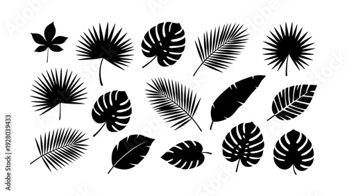 A vibrant and diverse collection of tropical leaf silhouettes, showcasing various exotic foliage designs ideal for summer themes, natural decor, and botanical illustration projects