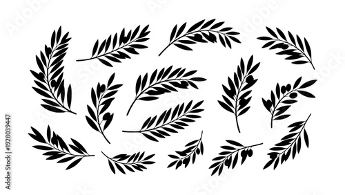Set of elegant olive branch silhouettes with leaves and fruits, hand-drawn vector elements ideal for Mediterranean designs, food branding, labels, and botanical decor projects