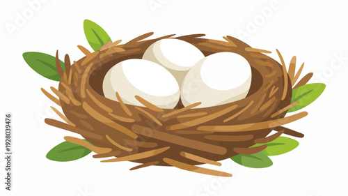 Brown bird nest with white eggs and green leaves white background