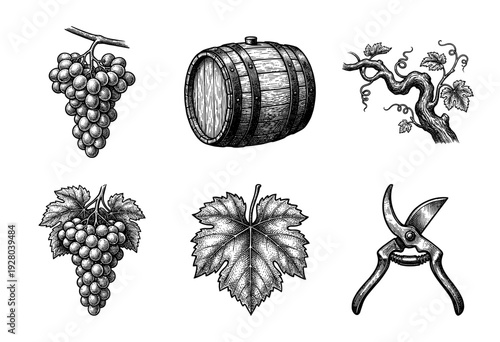 Vintage vineyard and winemaking collection featuring woodcut style illustrations of grapes, wine barrel, grapevine branch, leaf, and pruning shears.