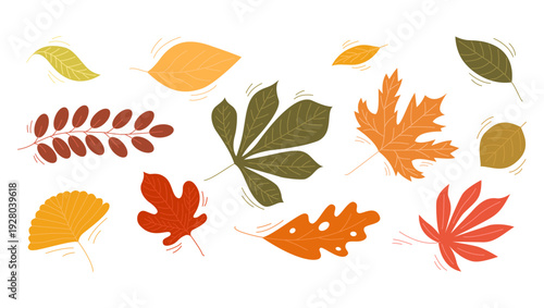 Set of colorful autumn leaves. Falling orange, yellow, and green foliage of maple, oak, and chestnut isolated on white background. Vector seasonal illustration