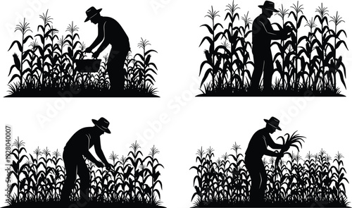 Farmer working in corn field silhouette illustration set, agriculture harvesting process, rural farming lifestyle, crop cultivation concept, black vector design isolated