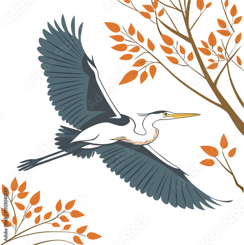 Majestic Great Blue Heron in Flight Over Autumn Foliage with Detailed Plumage.