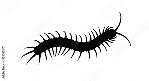 A black silhouette of a centipede with many legs is shown
