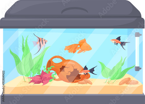 Underwater life in glass aquarium. Fish pet cartoon icon
