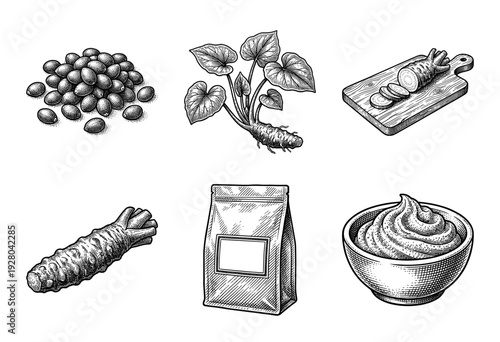 Vintage engraving style collection of wasabi plant components including whole root, sliced rhizome, leaves, seeds, powder packaging, and prepared paste bowl.