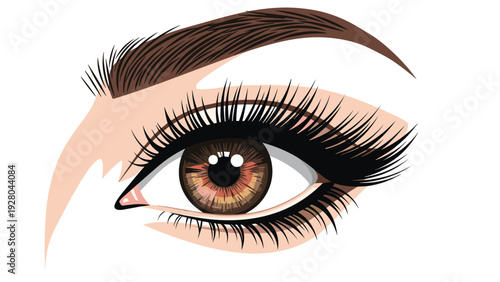 Close-up view of a detailed brown human eye with long black lashes and perfectly shaped eyebrows on white.