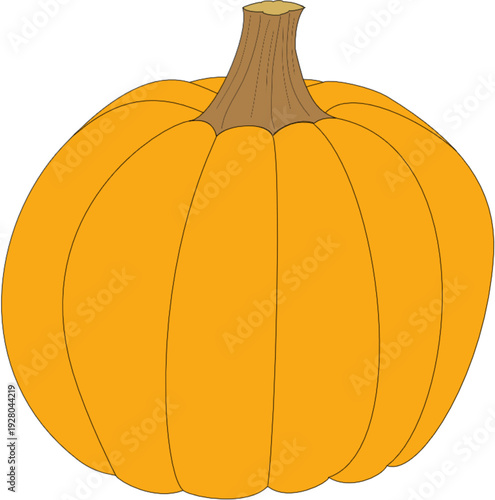 A single orange pumpkin on a white background