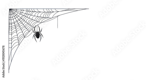 Corner Spider Web with Spider Illustration