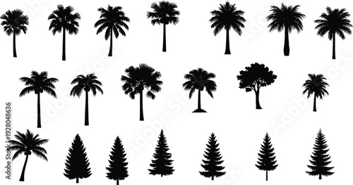Black palm and pine tree silhouettes collection, tropical and evergreen forest plants isolated on white background, vector illustration set