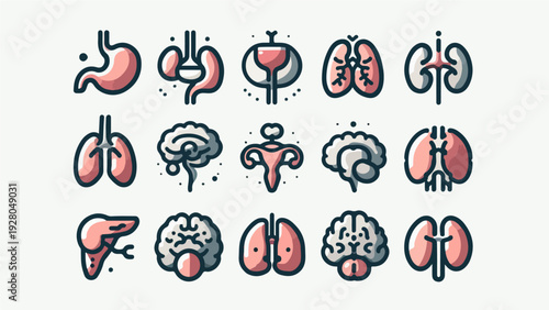 Modern bold line art icon set of human internal organs featuring the brain, lungs, kidneys, and liver for medical and health design.