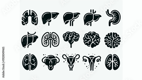 set of black icons of organs like brain, lungs, kidneys, stomach, and others for science purposes