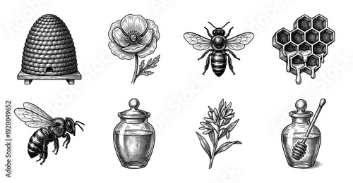 Vintage engraving collection of honey bee illustrations featuring hive, honeycomb, flowers, and apothecary jars in a detailed woodcut style.