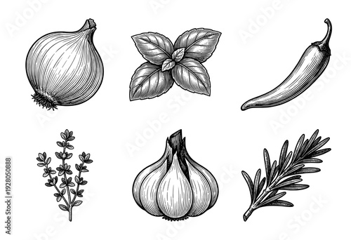 Set of hand drawn vintage engraved sketches featuring onion, garlic, chili pepper, basil, rosemary, and thyme herbs and vegetables.