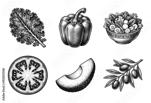 Vintage woodcut style vegetable and salad ingredient collection featuring kale, bell pepper, tomato slice, avocado, and olives