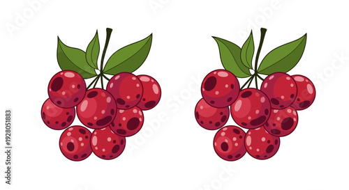 Two clusters of vibrant red currants with characteristic spotted surfaces