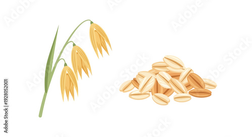 Oat stalks with golden grains and a pile of rolled oats shown