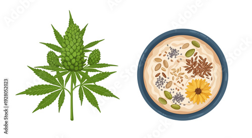 Cannabis plant alongside a colorful bowl of seeds and a flower