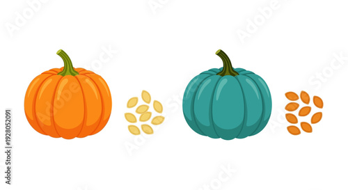 Pecan nuts in shell and kernel arrangements a vector illustration