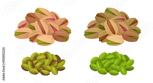 Pile of macadamia nuts including cracked and whole specimens