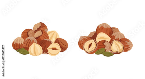 Colorful illustration depicting hazelnuts in various stages of shell opening