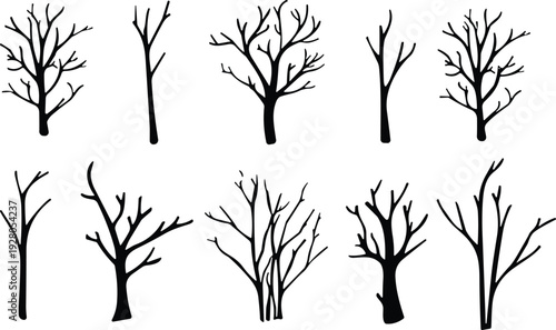 Leafless tree silhouettes, winter forest, autumn landscape, branching patterns, natural forms, woodland design, ecology icon, seasonal nature, bare trees, vector illustration