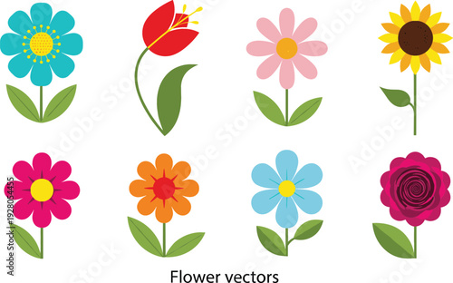 Colorful flower vector illustrations set with simple floral designs spring botanical elements isolated on white background