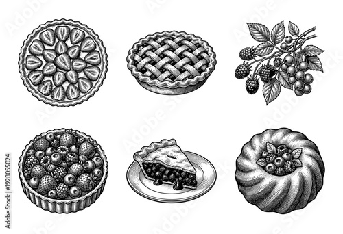 Vintage woodcut style illustration set featuring assorted berry pies, tarts, and fresh fruit branches for culinary design.