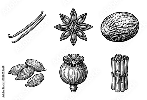 Vintage engraving set of aromatic culinary spices including vanilla pods, star anise, nutmeg, cardamom seeds, poppy seed pod, and cinnamon sticks in woodcut style.