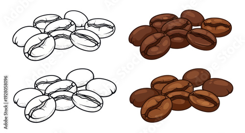 Coffee Beans: Line Art and Color Illustrations