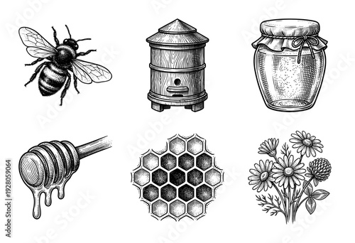 Vintage engraving style honey and beekeeping set featuring bumblebee hive jar dipper honeycomb and wildflowers