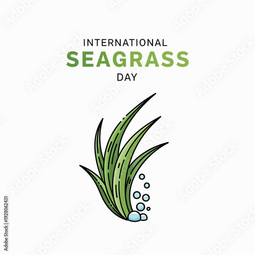 Seagrass plant underwater marine life.
