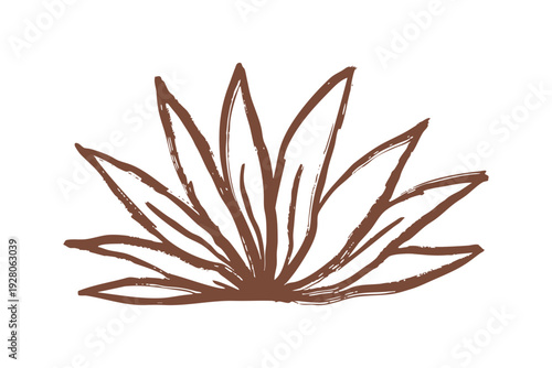 Hand drawn western clipart brown leafy plant illustration on with artistic lines western