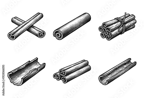 Vintage engraving style cinnamon sticks collection featuring various bark rolls and spice bundles in a detailed black and white woodcut aesthetic.