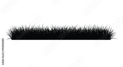 Singel rows of black silhouette grass against a white background
