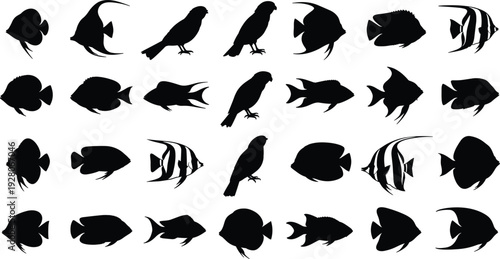 Birds and fish silhouettes vector illustration, wildlife, aquatic species, perched birds, marine biodiversity, nature, environment, education, pattern recognition, design