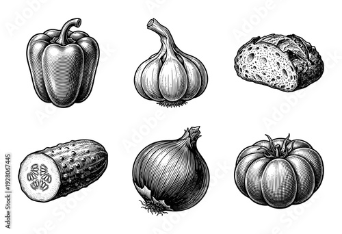Vintage engraving style collection of hand drawn vegetables and sourdough bread loaf featuring bell pepper garlic cucumber onion and tomato