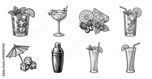 Vintage engraving style cocktail collection featuring mixed drinks, bar equipment, and fresh fruit garnishes in a hand-drawn woodcut aesthetic.