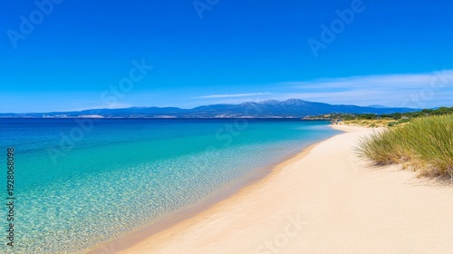 Wallpaper Mural A tranquil beach scene with clear turquoise water, soft sand, and a bright blue sky Torontodigital.ca