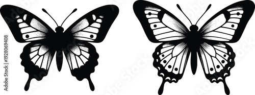 Butterfly silhouette set with detailed wings isolated on white background, decorative black insect illustration for tattoo design, nature art and vector graphic