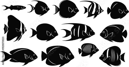 Fish silhouettes vector illustration, marine life, aquatic species, underwater biodiversity, sea creatures, fishing guide, biology education, ocean nature, design, art