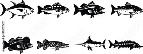 Fish silhouettes vector illustration, marine species, aquatic wildlife, ocean biodiversity, fishing guide, biology education, underwater nature, sturgeon, swordfish, trout
