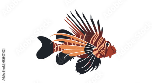 Lion Fish Marine Life.