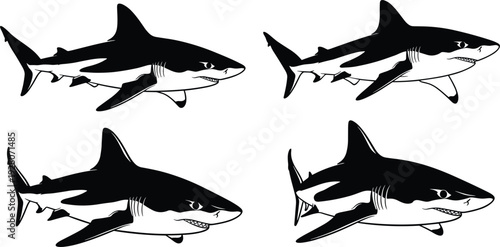 Great white shark silhouette collection, predatory sea animal, marine wildlife, aquatic predator icons, shark attack, dangerous ocean fish, nature, water.