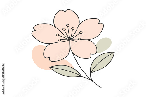 A delicate sketch of a blooming cherry blossom with soft pastel tones