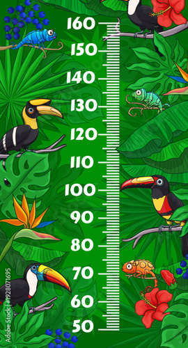 Kids height chart with toucan birds and chameleons