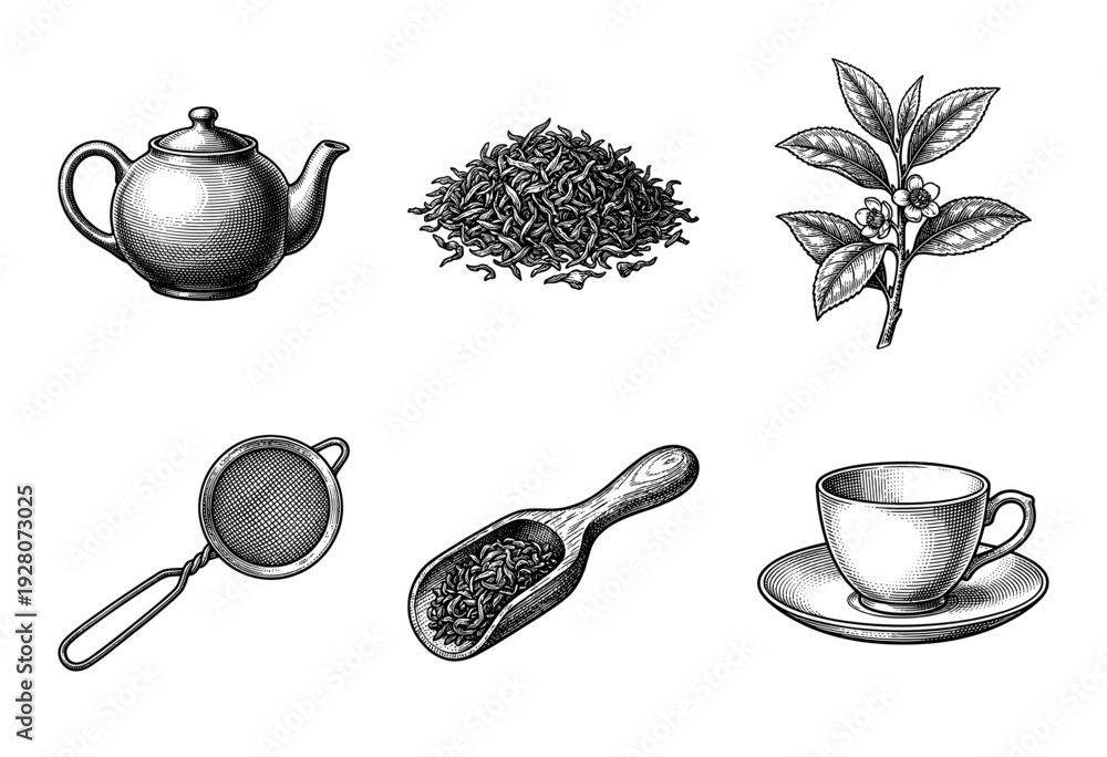 Naklejka premium Vintage tea brewing collection featuring woodcut illustrations of a ceramic teapot, loose leaves, camellia sinensis plant, mesh strainer, wooden scoop, and teacup.